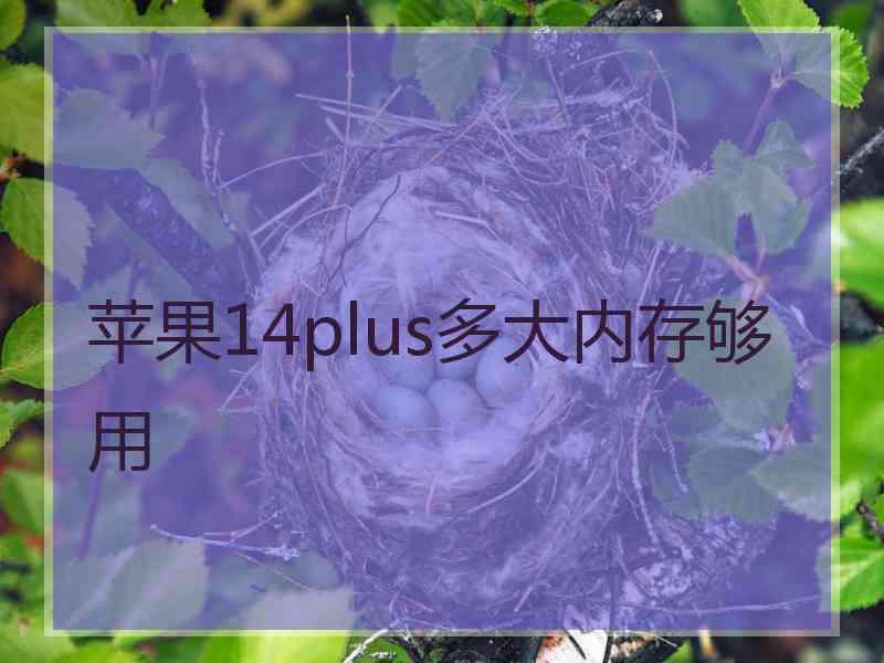 苹果14plus多大内存够用