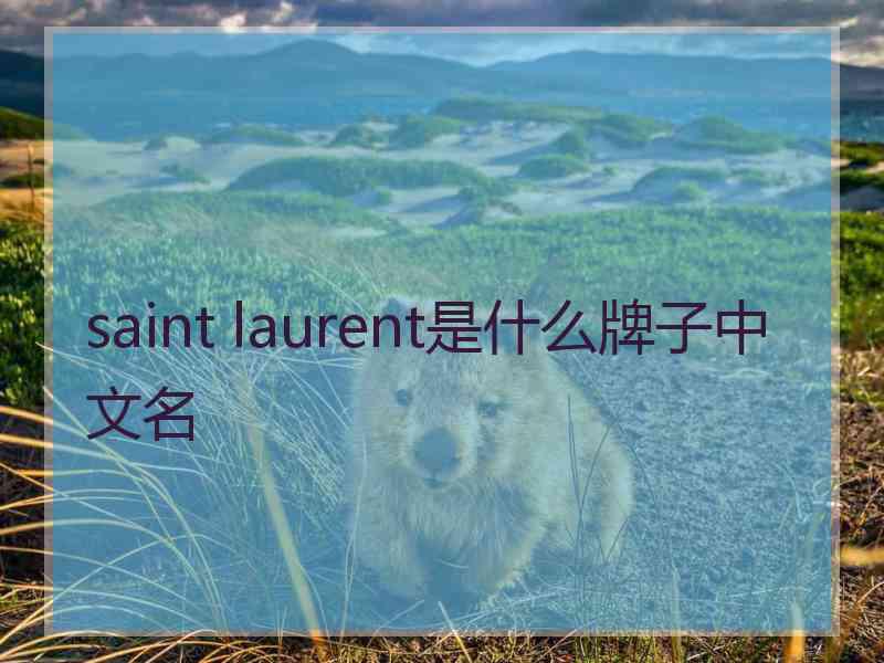 saint laurent是什么牌子中文名