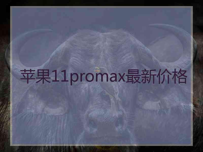 苹果11promax最新价格