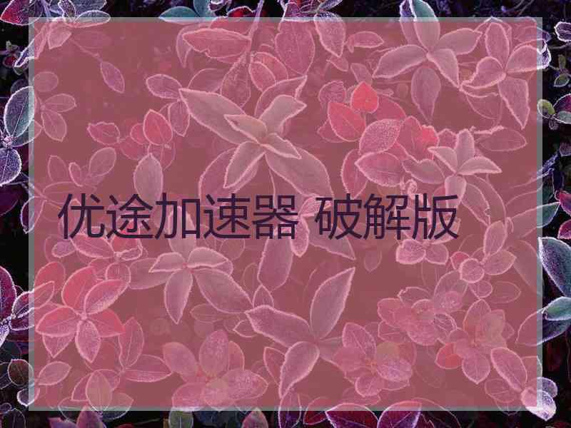 优途加速器 破解版