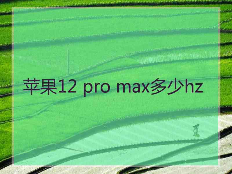 苹果12 pro max多少hz