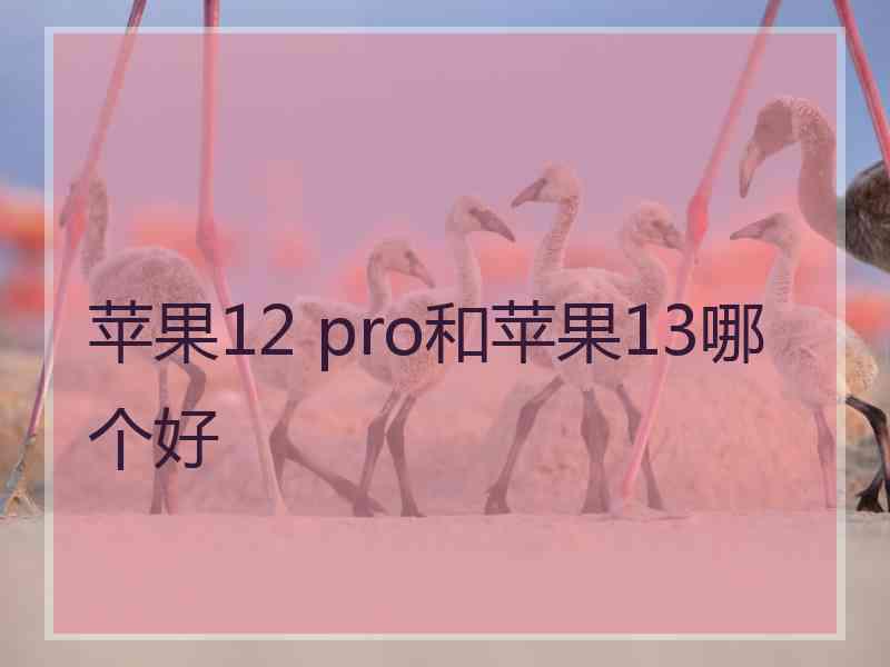 苹果12 pro和苹果13哪个好