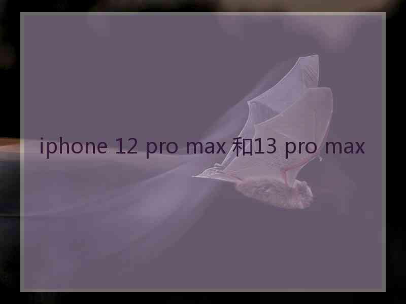 iphone 12 pro max 和13 pro max