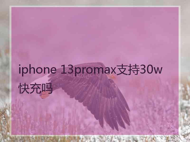 iphone 13promax支持30w快充吗