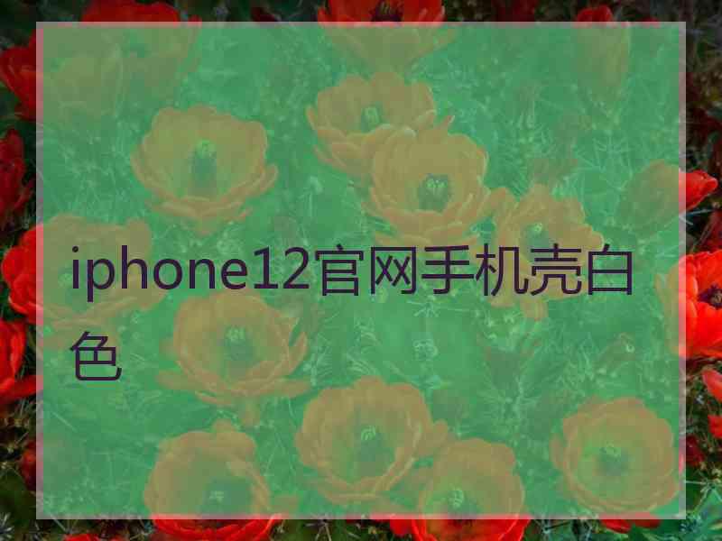 iphone12官网手机壳白色