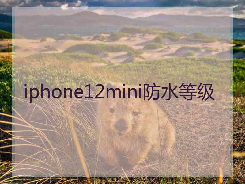 iphone12mini防水等级