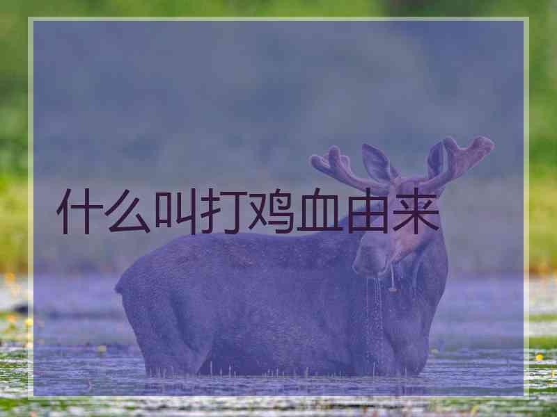 什么叫打鸡血由来