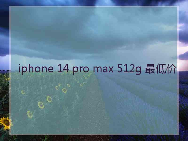 iphone 14 pro max 512g 最低价