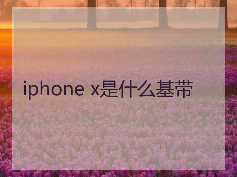 iphone x是什么基带