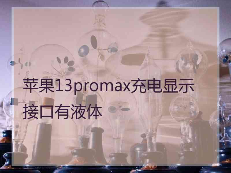 苹果13promax充电显示接口有液体