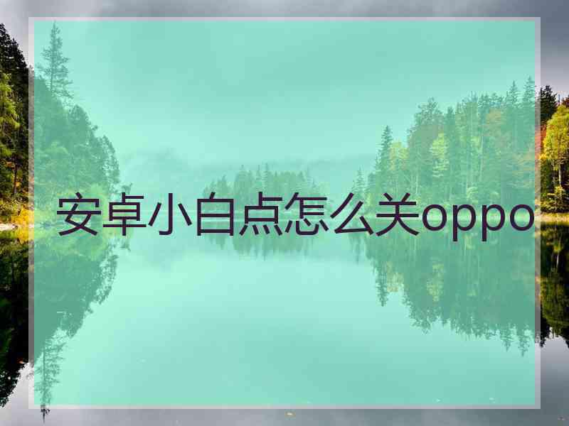 安卓小白点怎么关oppo