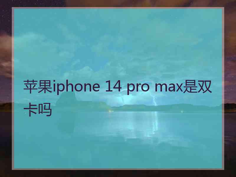 苹果iphone 14 pro max是双卡吗