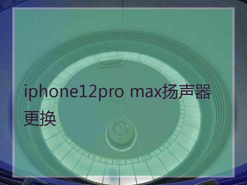 iphone12pro max扬声器更换