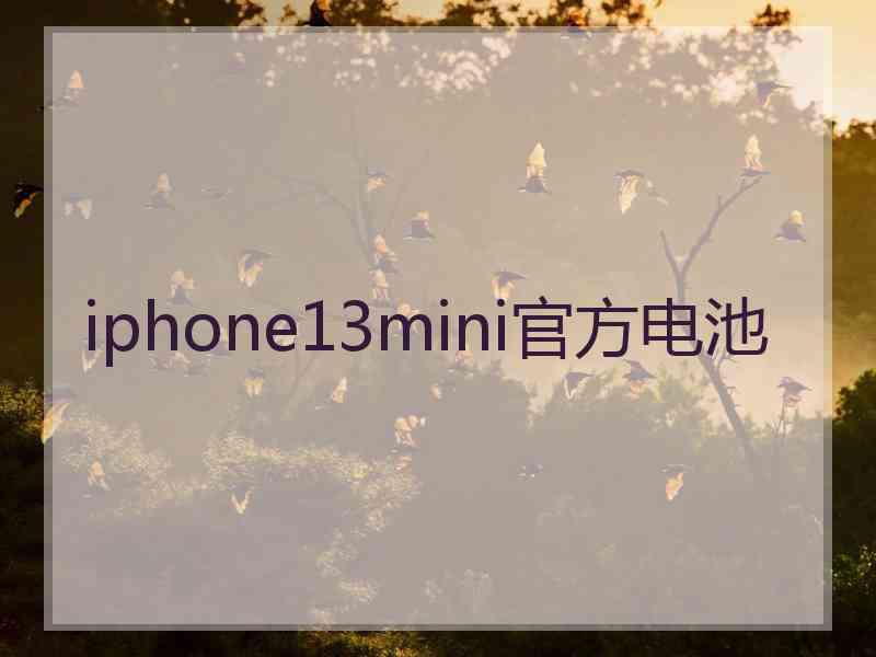 iphone13mini官方电池