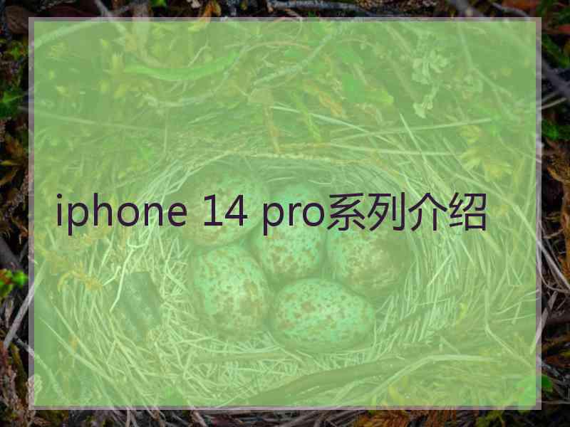 iphone 14 pro系列介绍