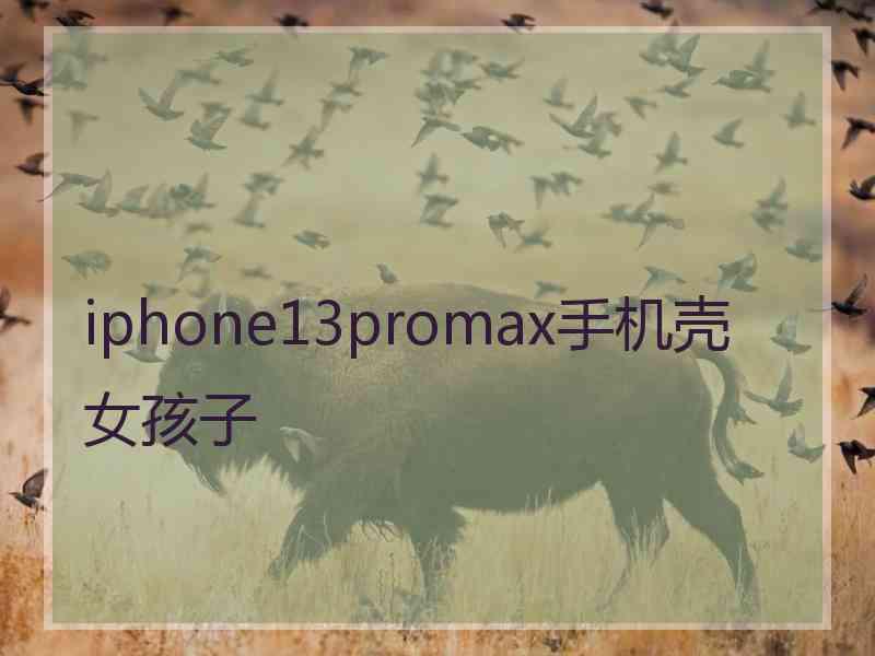 iphone13promax手机壳女孩子