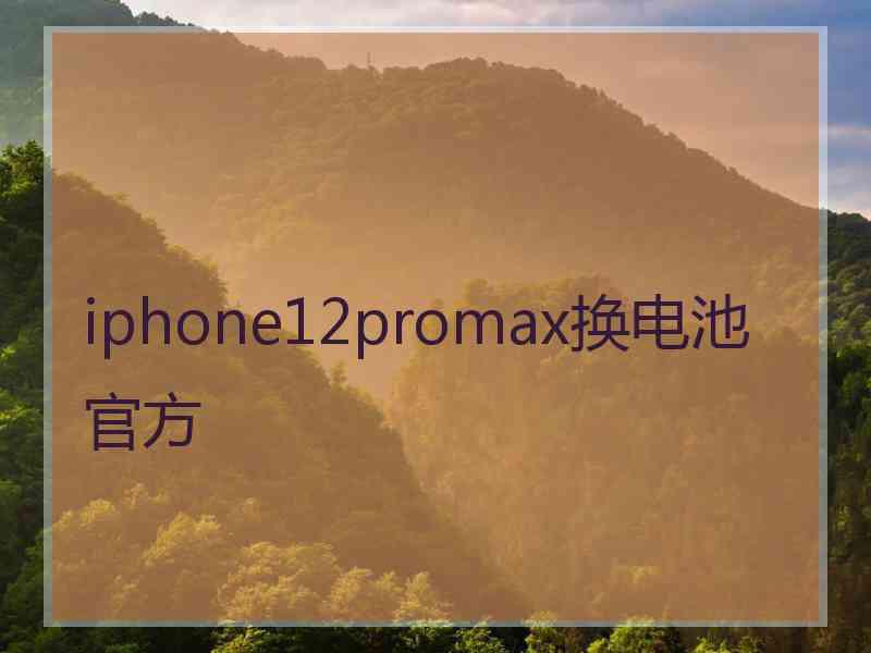 iphone12promax换电池官方