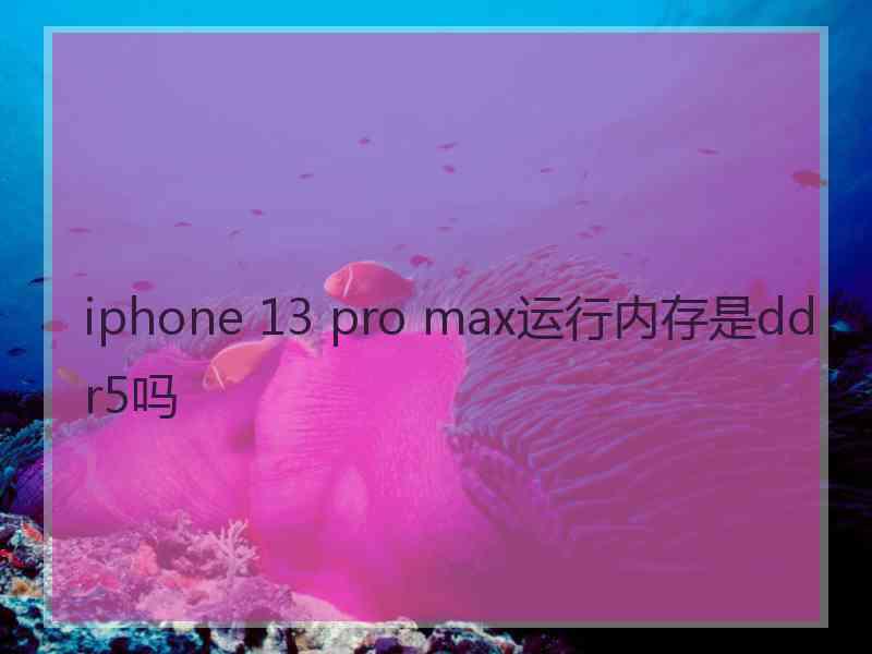 iphone 13 pro max运行内存是ddr5吗