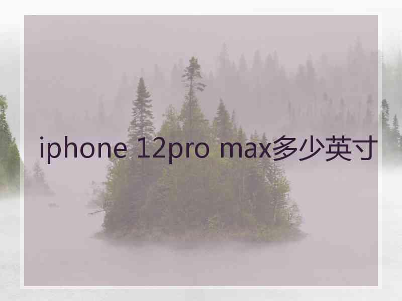 iphone 12pro max多少英寸