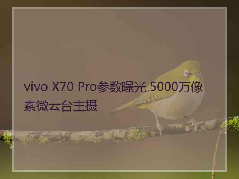 vivo X70 Pro参数曝光 5000万像素微云台主摄