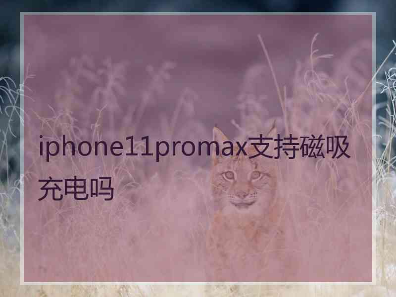 iphone11promax支持磁吸充电吗