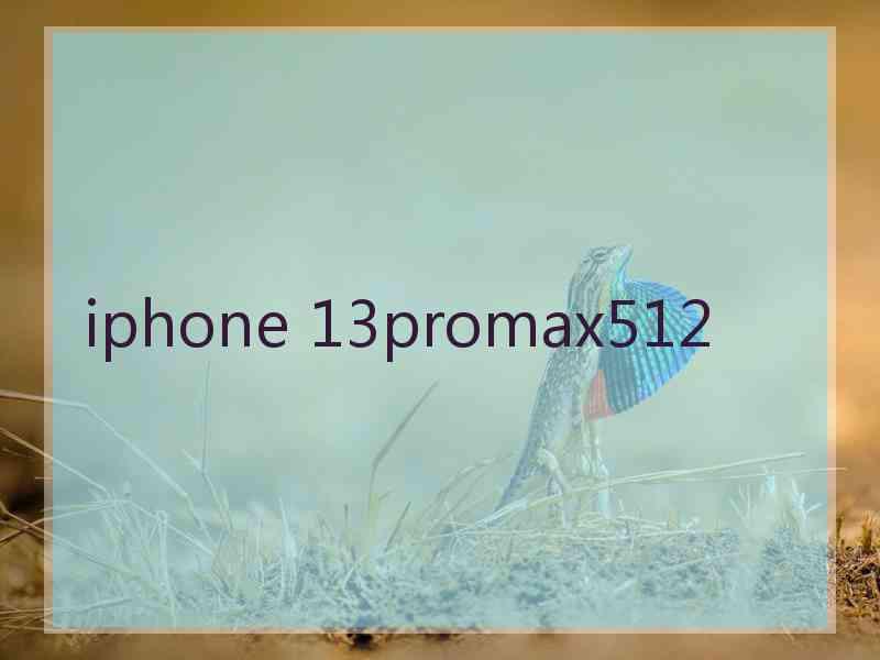 iphone 13promax512