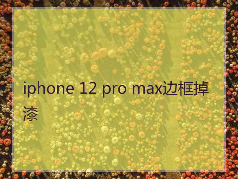 iphone 12 pro max边框掉漆