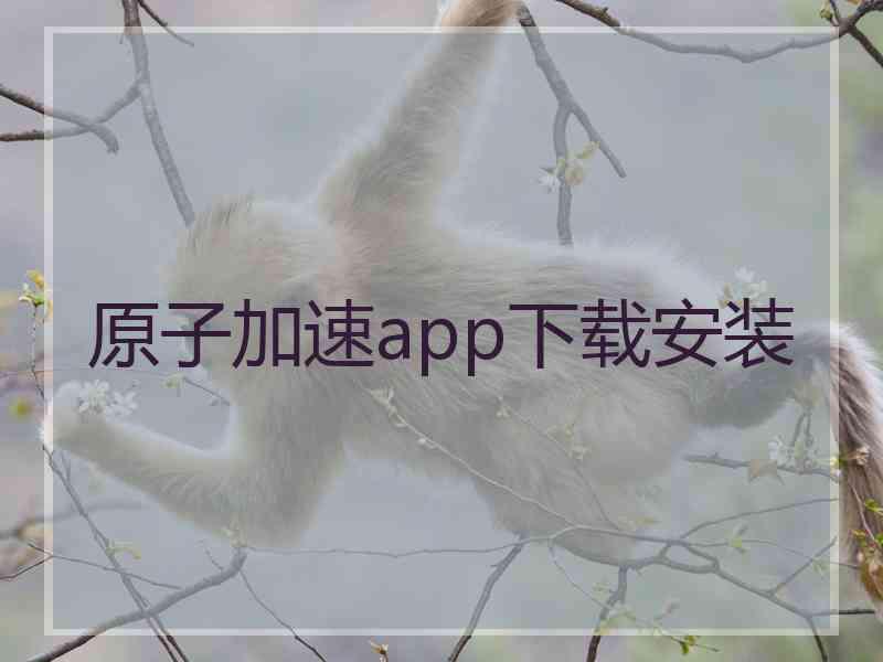 原子加速app下载安装