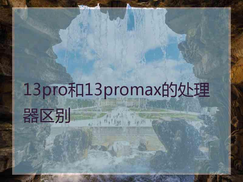 13pro和13promax的处理器区别