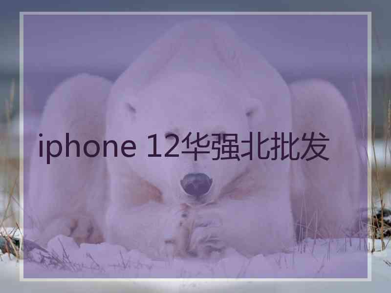 iphone 12华强北批发