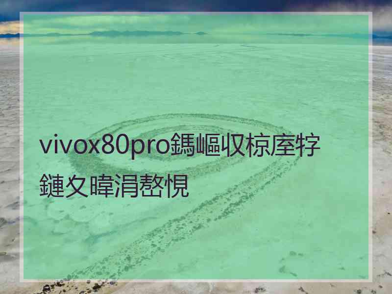 vivox80pro鎷嶇収椋庢牸鏈夊暐涓嶅悓