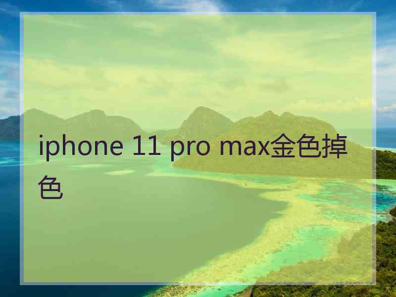 iphone 11 pro max金色掉色