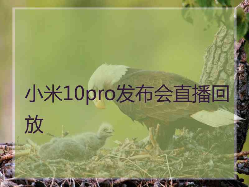 小米10pro发布会直播回放