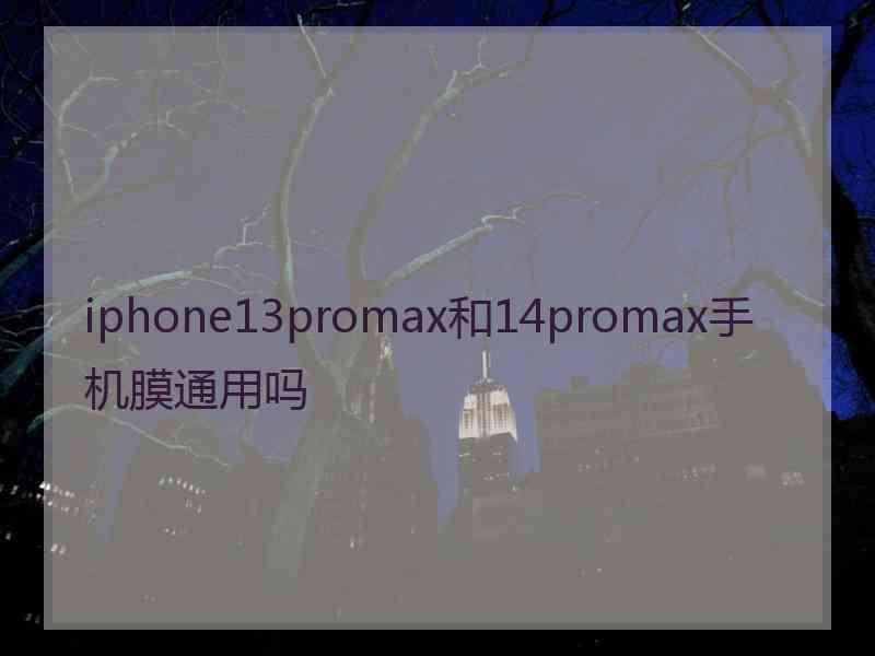 iphone13promax和14promax手机膜通用吗