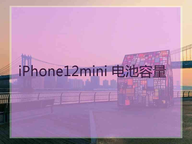 iPhone12mini 电池容量