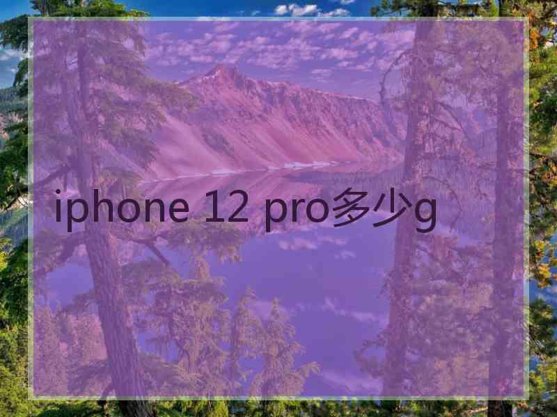 iphone 12 pro多少g