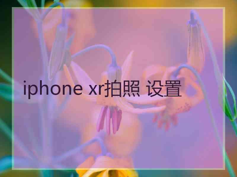 iphone xr拍照 设置