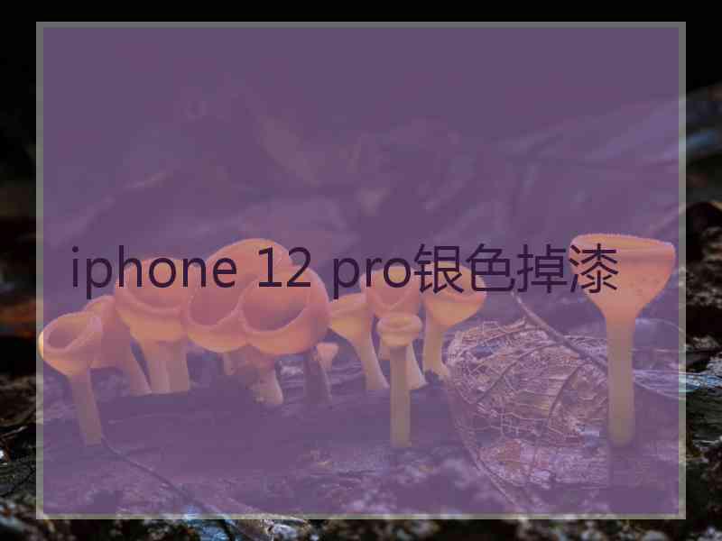 iphone 12 pro银色掉漆