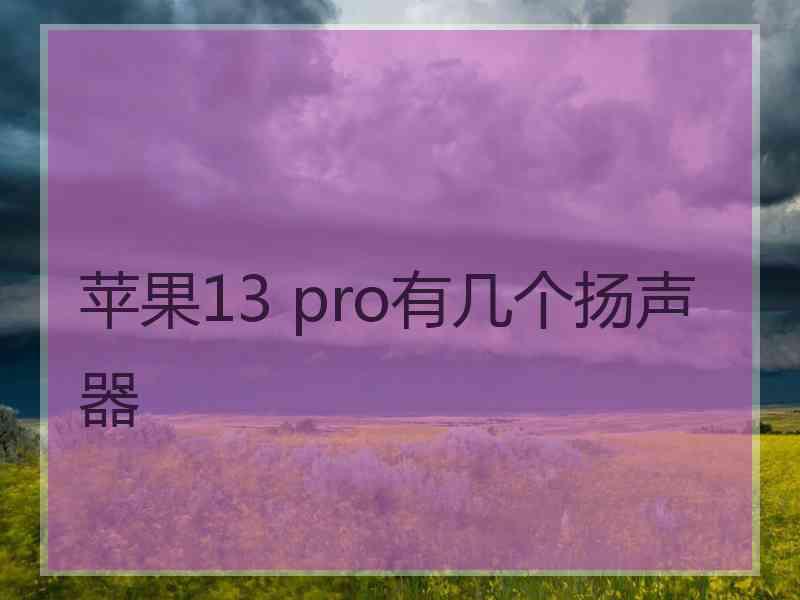 苹果13 pro有几个扬声器