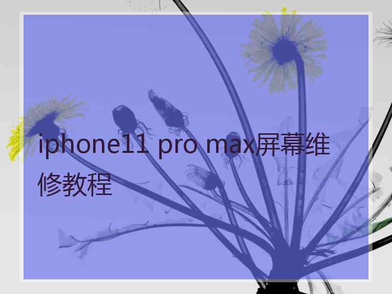 iphone11 pro max屏幕维修教程