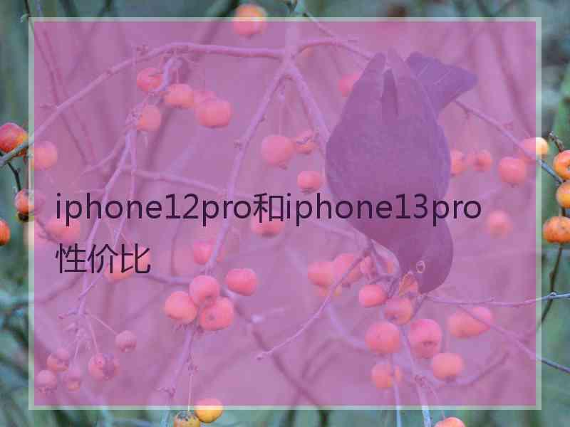 iphone12pro和iphone13pro性价比