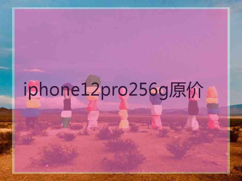 iphone12pro256g原价