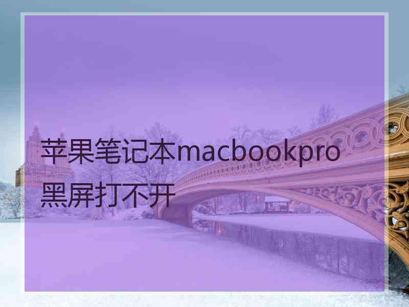 苹果笔记本macbookpro黑屏打不开