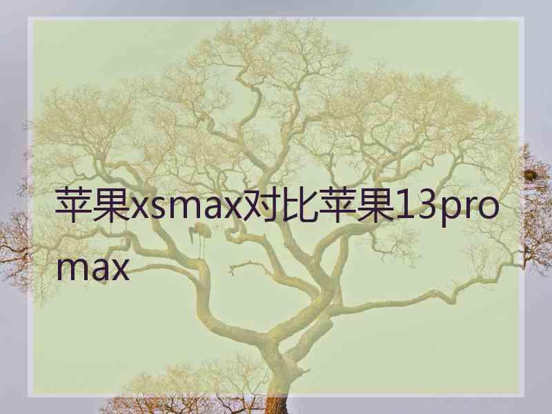 苹果xsmax对比苹果13promax