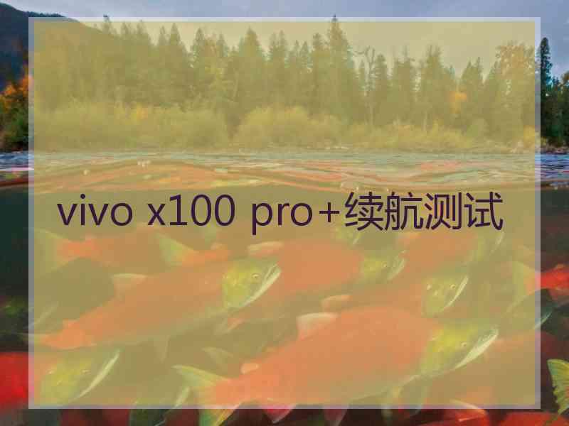 vivo x100 pro+续航测试