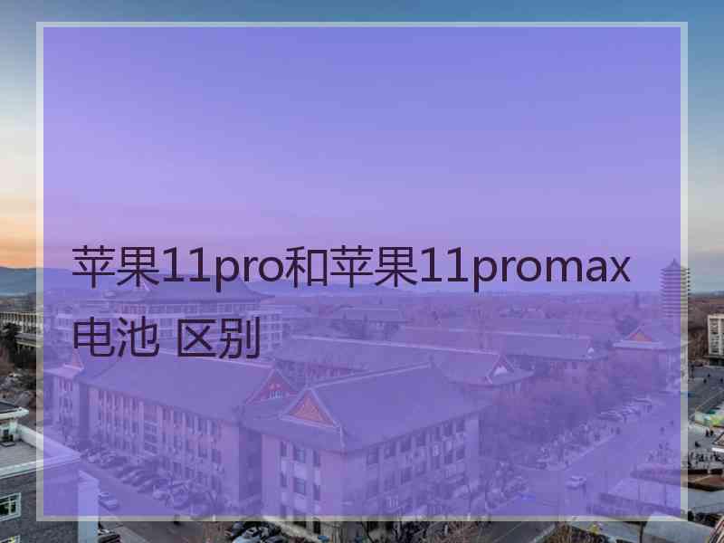 苹果11pro和苹果11promax电池 区别