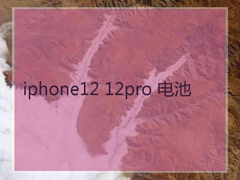 iphone12 12pro 电池