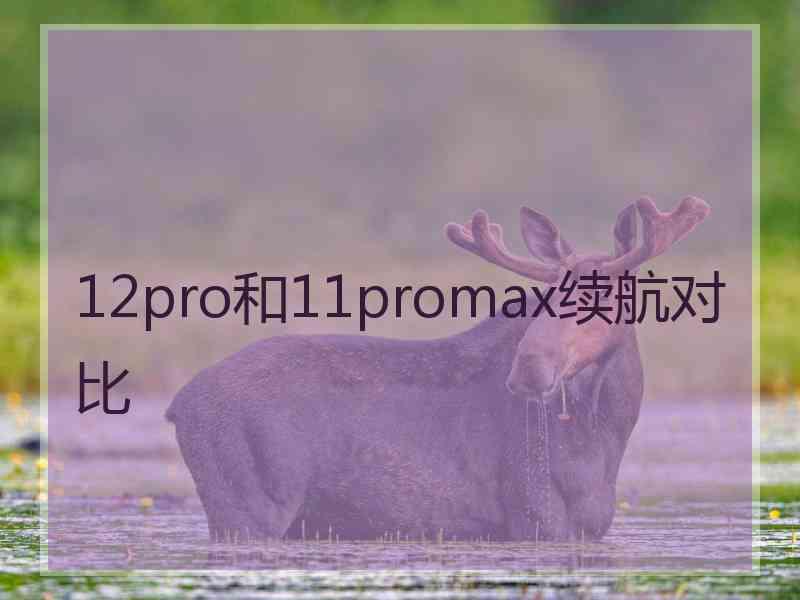 12pro和11promax续航对比