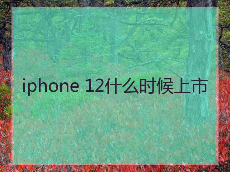 iphone 12什么时候上市