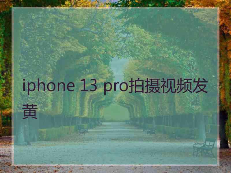 iphone 13 pro拍摄视频发黄